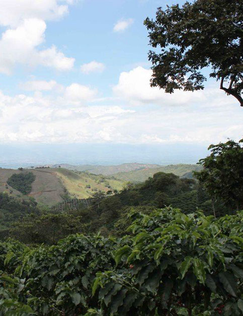 Trujillo Valle del Cauca